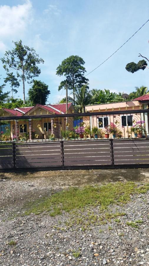 Dhia Irdina Homestay Paya Rewak エクステリア 写真
