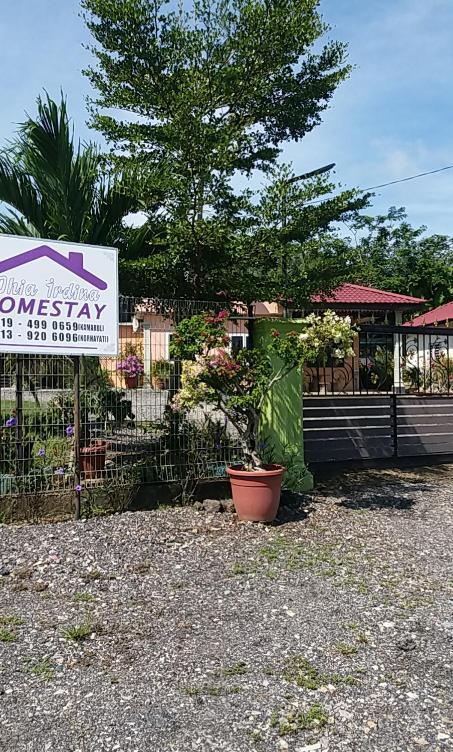 Dhia Irdina Homestay Paya Rewak エクステリア 写真