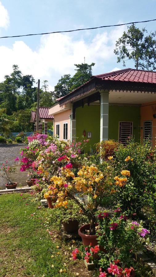 Dhia Irdina Homestay Paya Rewak エクステリア 写真