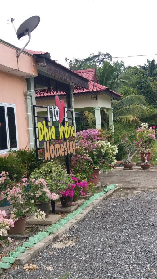 Dhia Irdina Homestay Paya Rewak エクステリア 写真